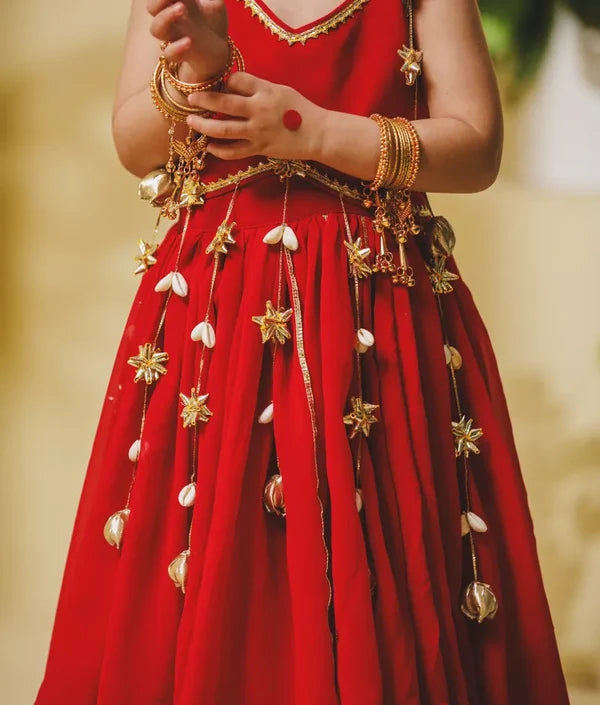 Red Georgette Lehenga Choli Set