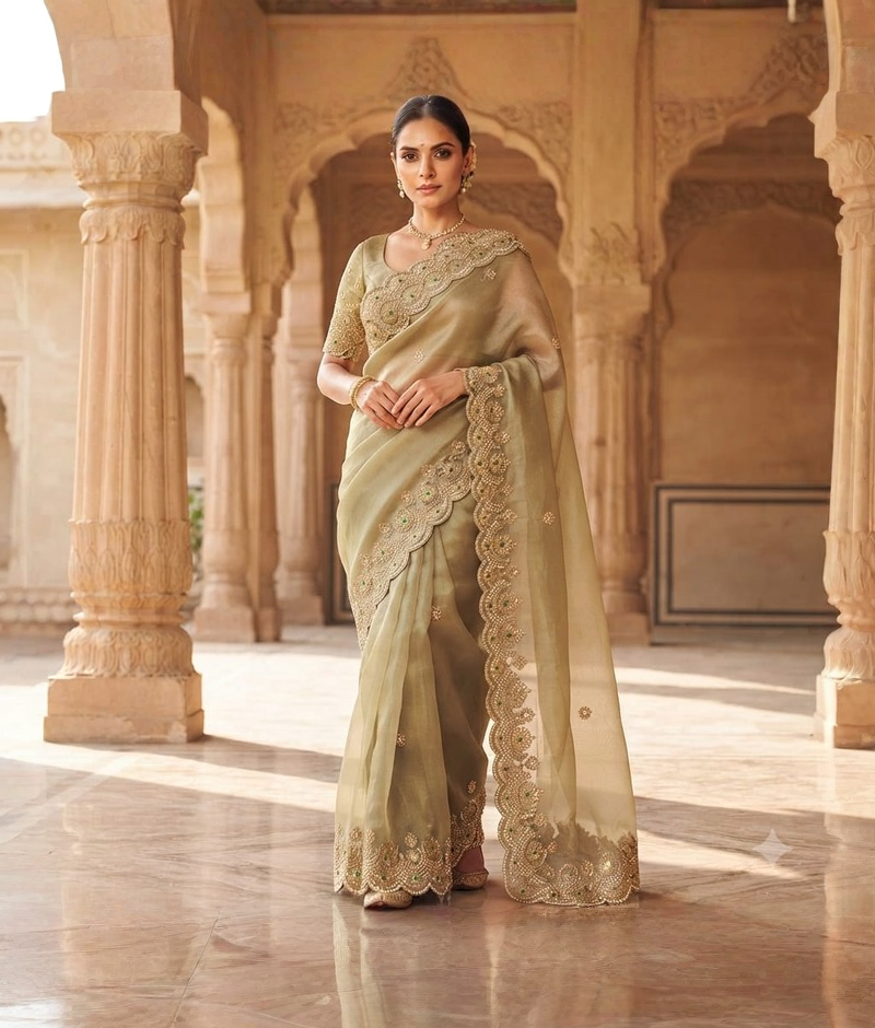 Grey and Light Green Shaded Tissue Georgette Saree with Zardozi, Moti and Stone Work