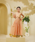 Peach Georgette Lehenga Choli Set