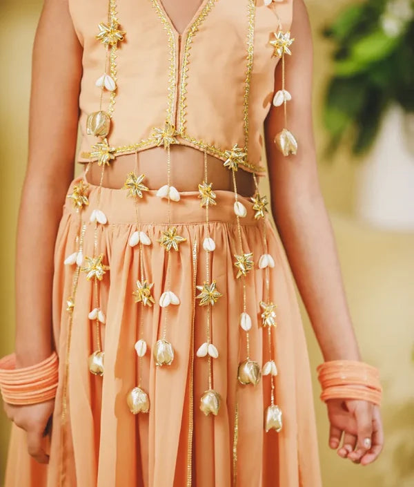 Peach Georgette Lehenga Choli Set