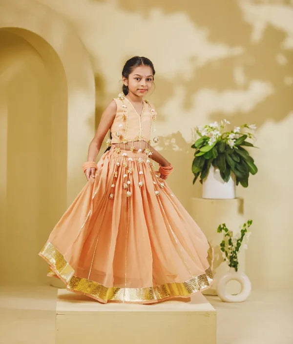 Peach Georgette Lehenga Choli Set