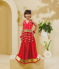 Pink Georgette Lehenga Choli Set