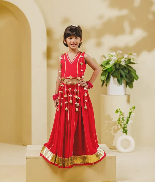 Pink Georgette Lehenga Choli Set