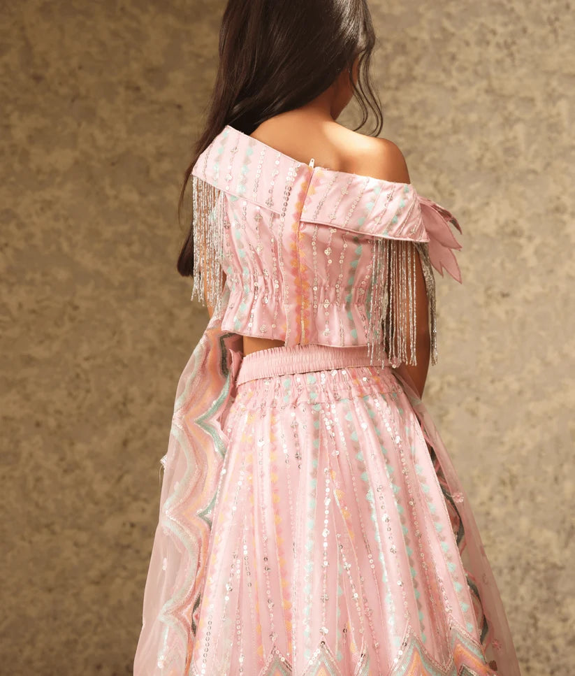 PINK SEQUENCE EMBROIDERY CROP TOP SKIRT