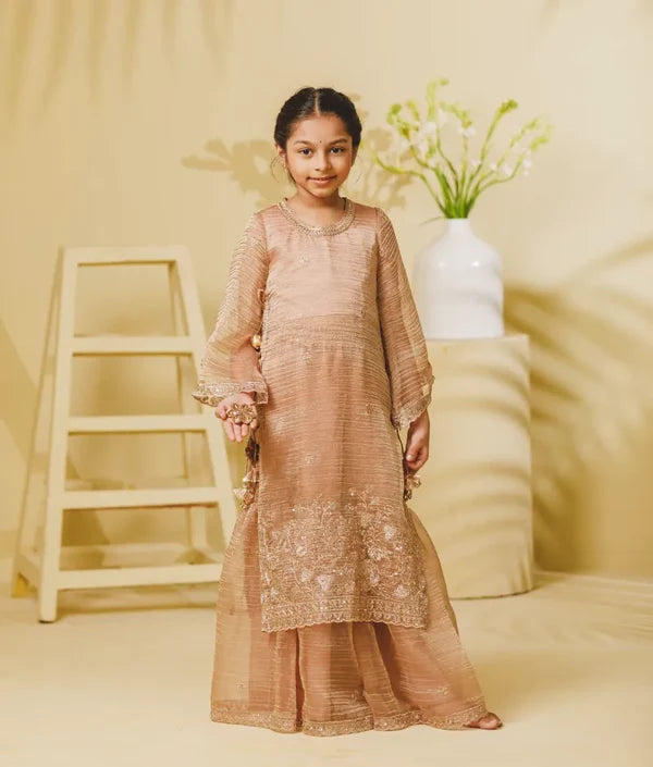 Peach Tissue Embroidered Long Kurti with Sharara