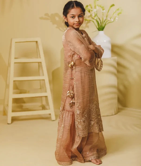 Peach Tissue Embroidered Long Kurti with Sharara