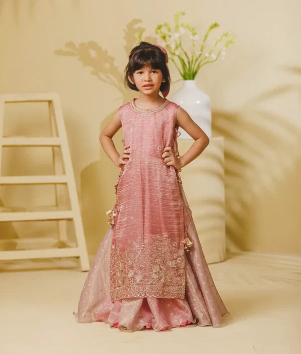 Tissue Organza Anarkali with Ponchu