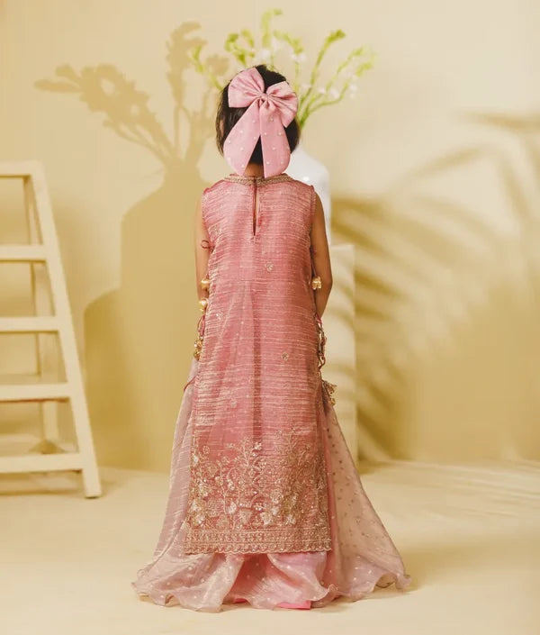 Tissue Organza Anarkali with Ponchu
