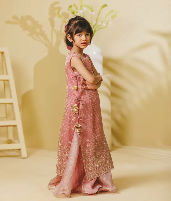Tissue Organza Anarkali with Ponchu