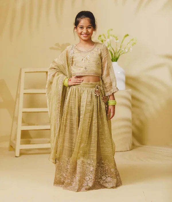 Pista Green Embroidered Lehenga Choli Set