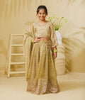 Pista Green Embroidered Lehenga Choli Set