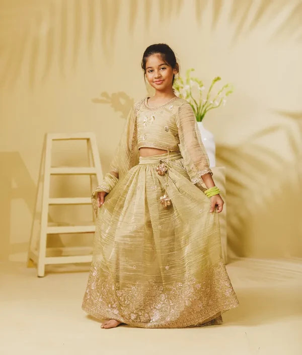 Pista Green Embroidered Lehenga Choli Set