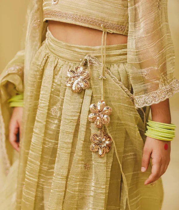 Pista Green Embroidered Lehenga Choli Set