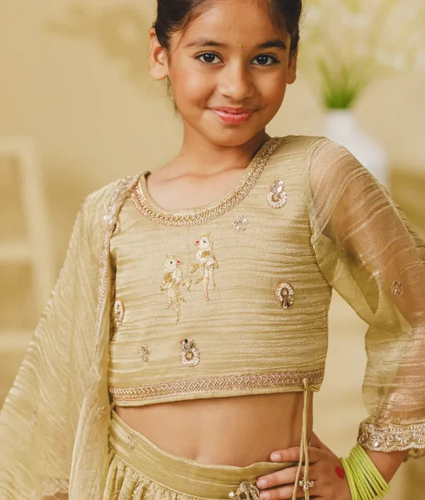 Pista Green Embroidered Lehenga Choli Set