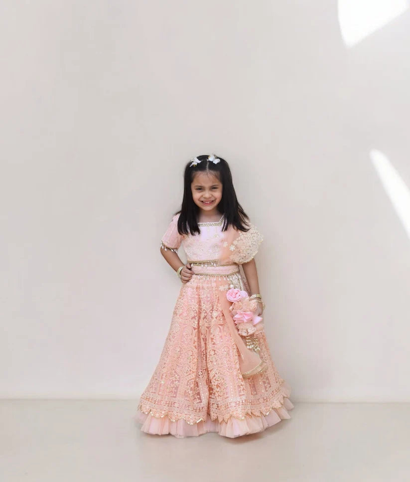 Peach Thread Lehenga Choli Set