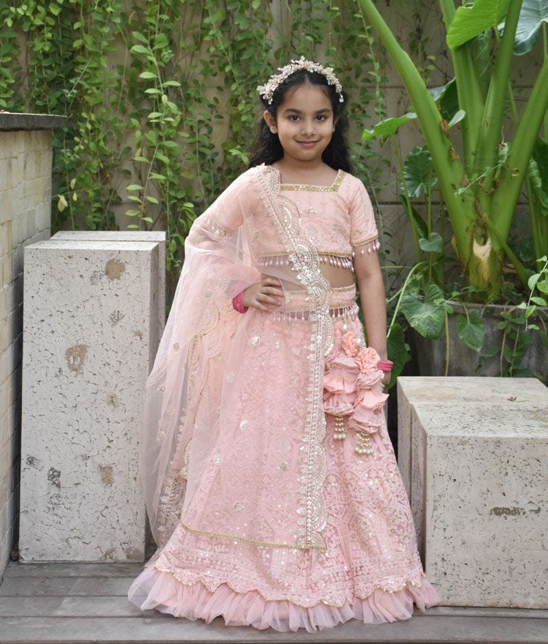 Peach Thread Lehenga Choli Set