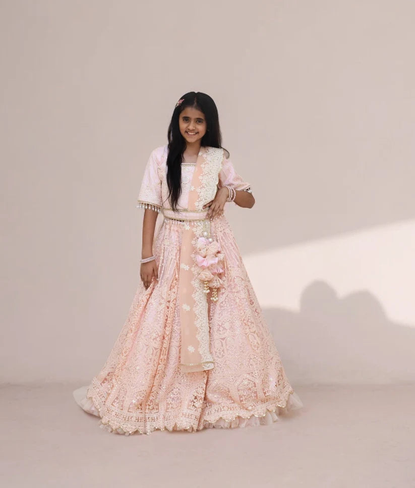Peach Thread Lehenga Choli Set