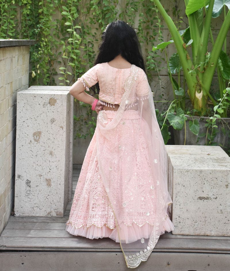 Peach Thread Lehenga Choli Set