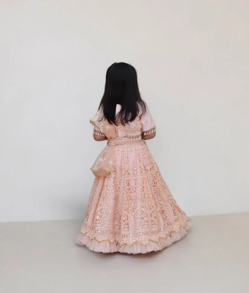 Peach Thread Lehenga Choli Set