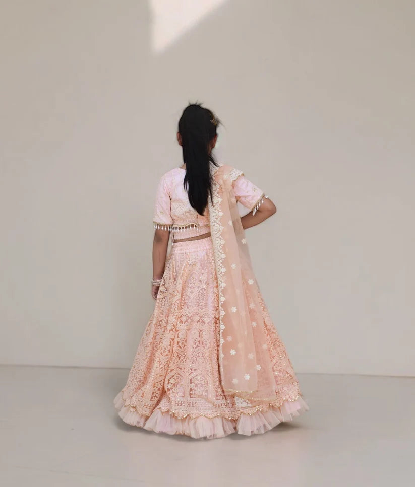 Peach Thread Lehenga Choli Set