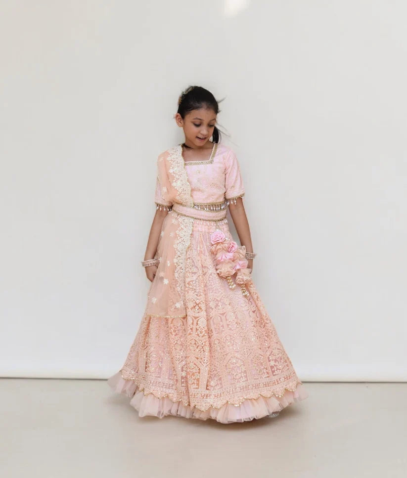Peach Thread Lehenga Choli Set