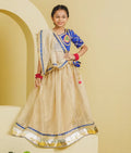 Blue Aangi Work Choli with Lehenga Set