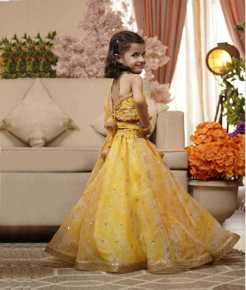 ORGANZA LEHENGA CHOLI AND DUPATTA