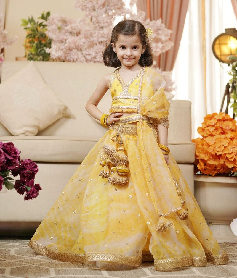 ORGANZA LEHENGA CHOLI AND DUPATTA