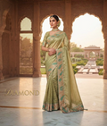 Light green tissue georgette saree with zardozi and moti work and a decorative green motif border