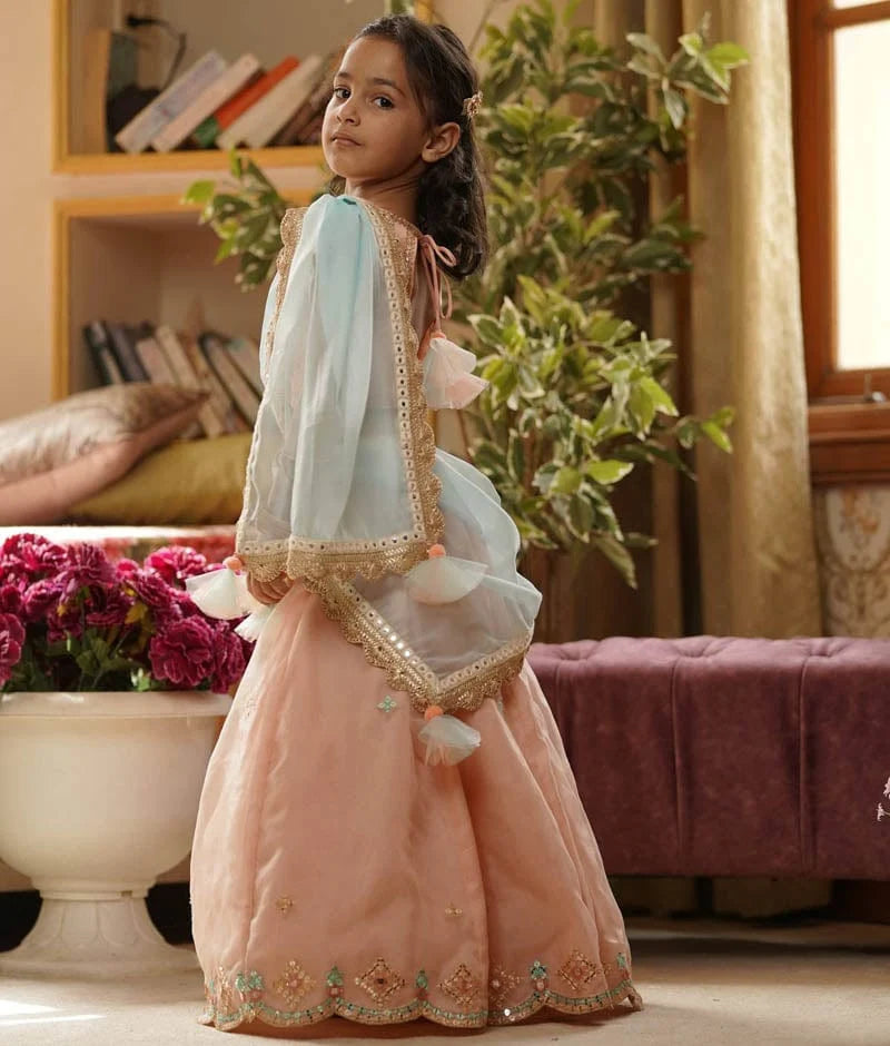 PEACH EMBROIDERY ORGANZA LEHENGA CHOLI SET