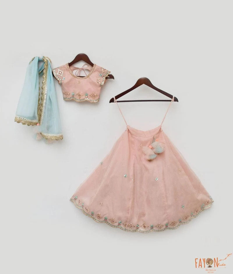 PEACH EMBROIDERY ORGANZA LEHENGA CHOLI SET