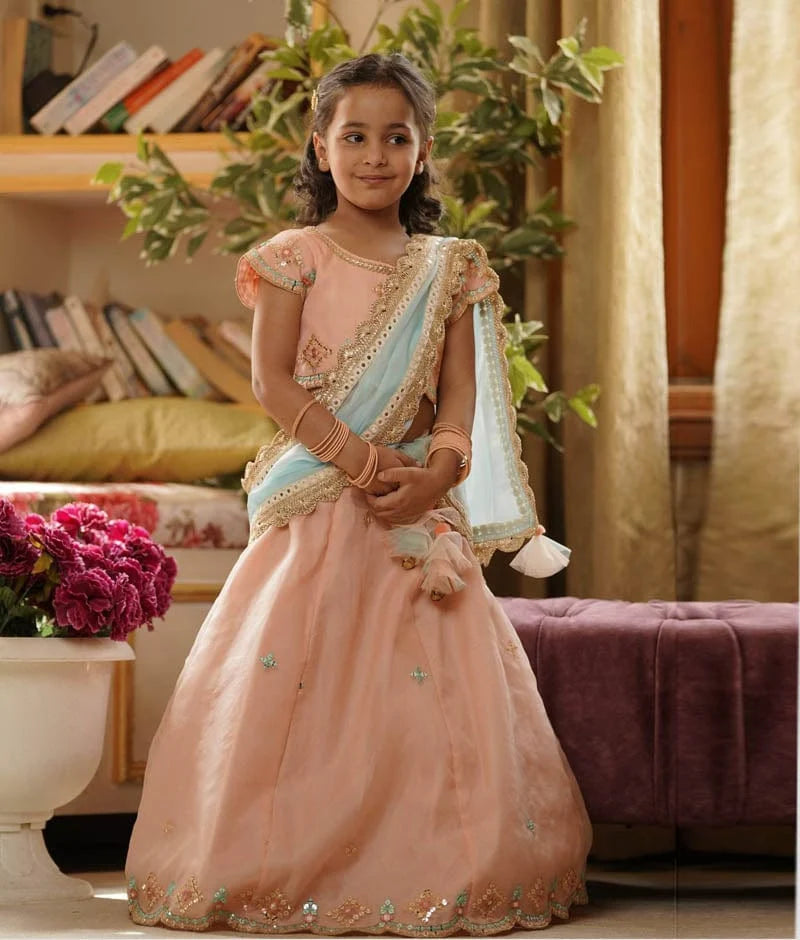 PEACH EMBROIDERY ORGANZA LEHENGA CHOLI SET