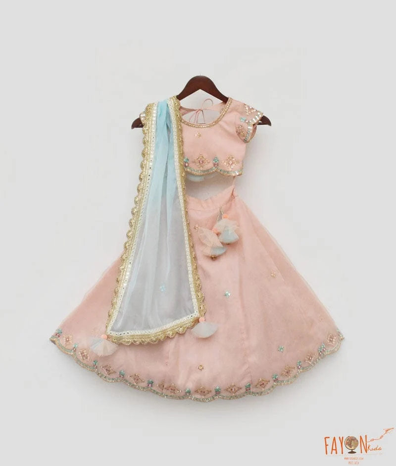PEACH EMBROIDERY ORGANZA LEHENGA CHOLI SET