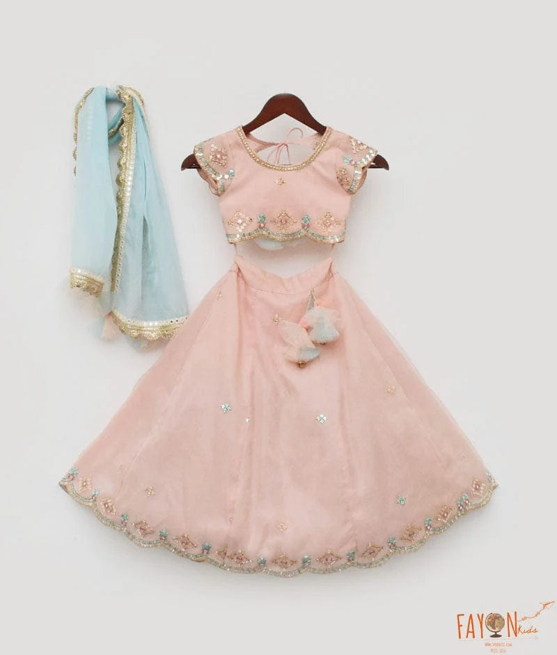 PEACH EMBROIDERY ORGANZA LEHENGA CHOLI SET