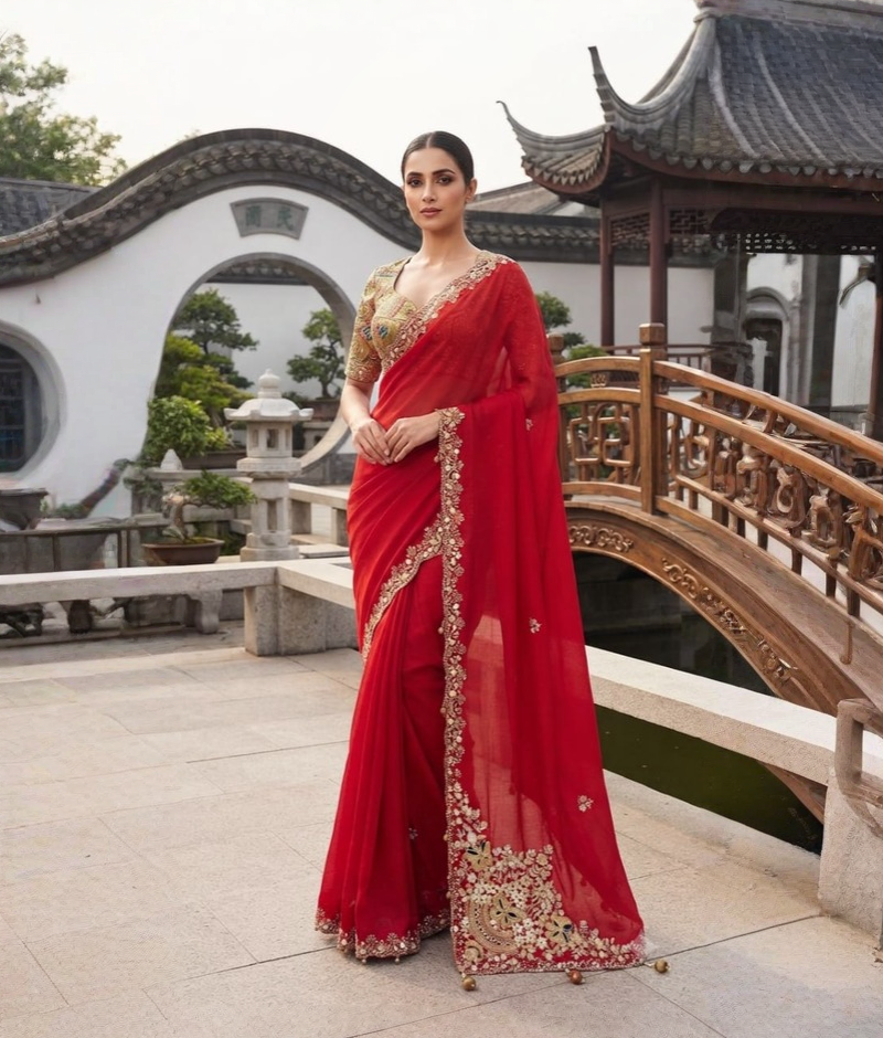 Red soft organza saree with an embellished border, scattered motifs and decorative pallu