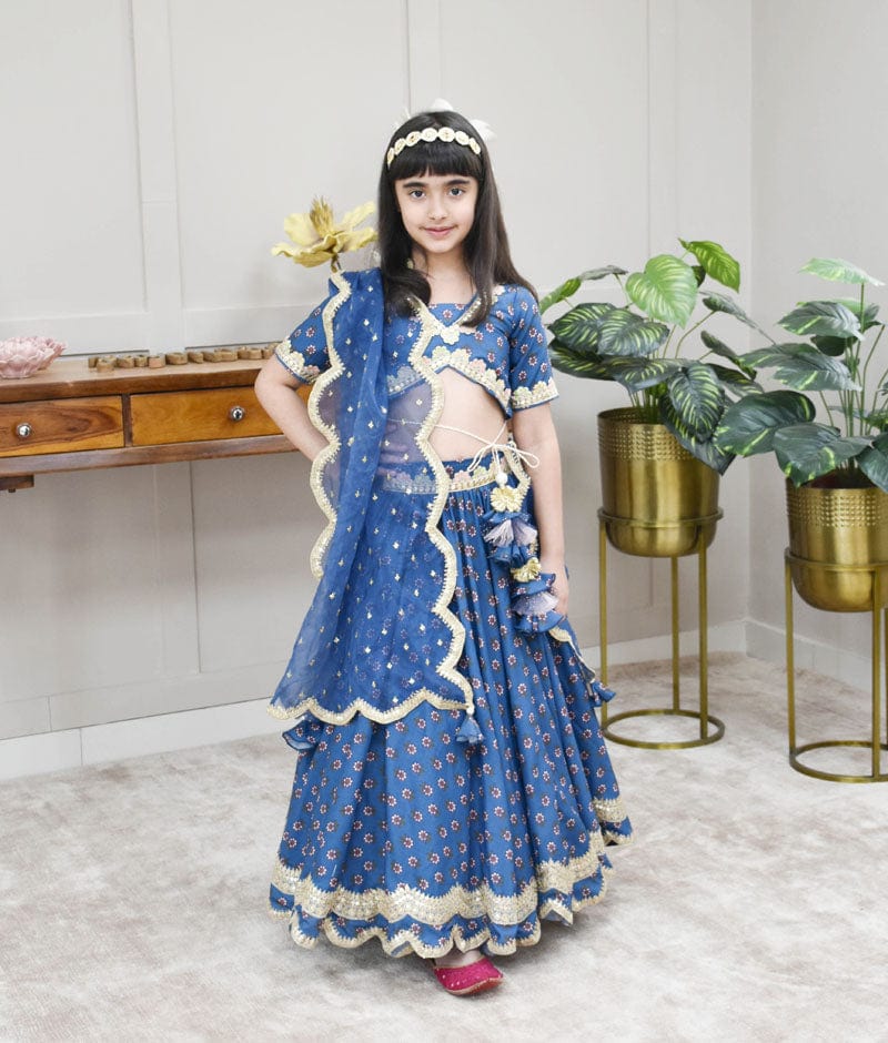 Blue Printed Lehenga Choli & Dupatta