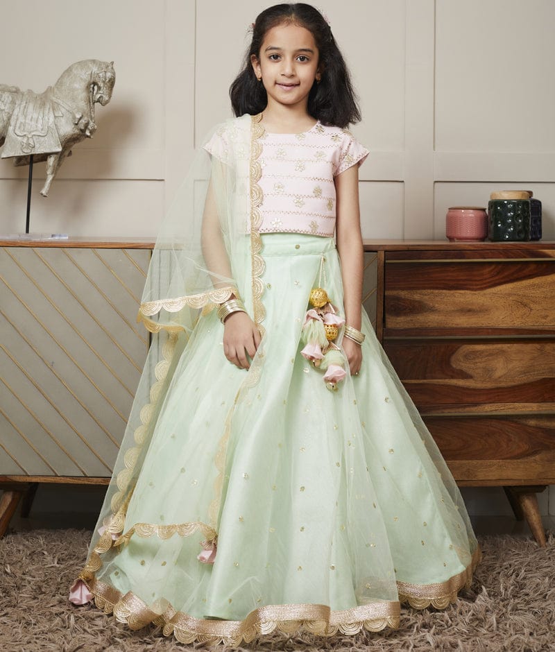 Pink Embroidery Choli & Green Net Lehenga