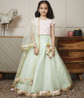 Pink Embroidery Choli & Green Net Lehenga