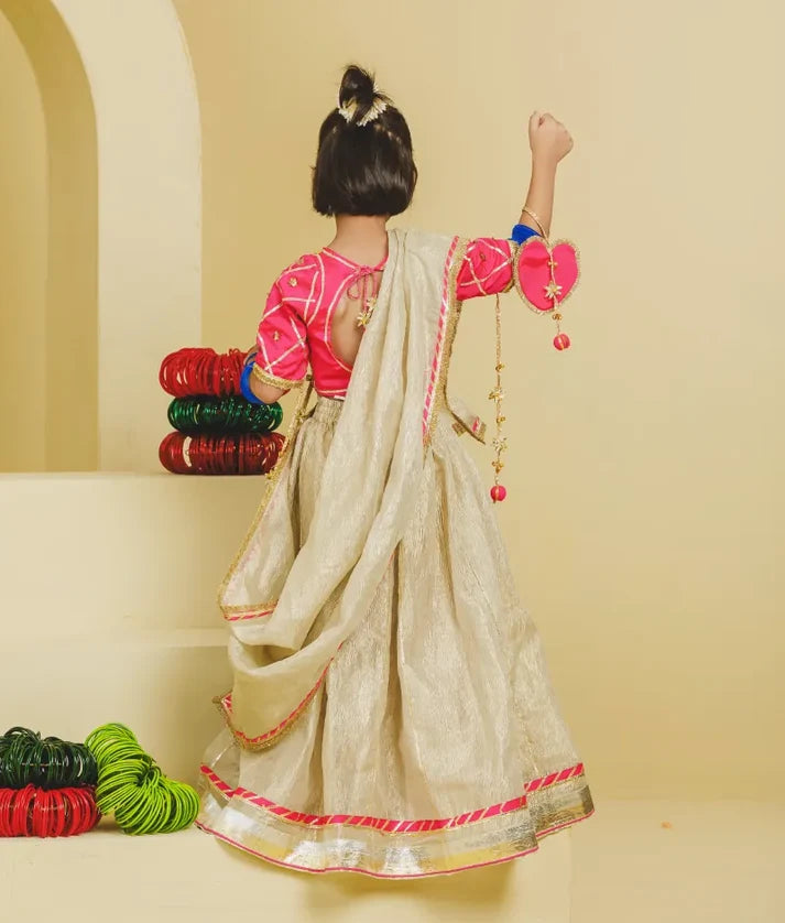 Pink Aangi Work Choli with Lehenga Set