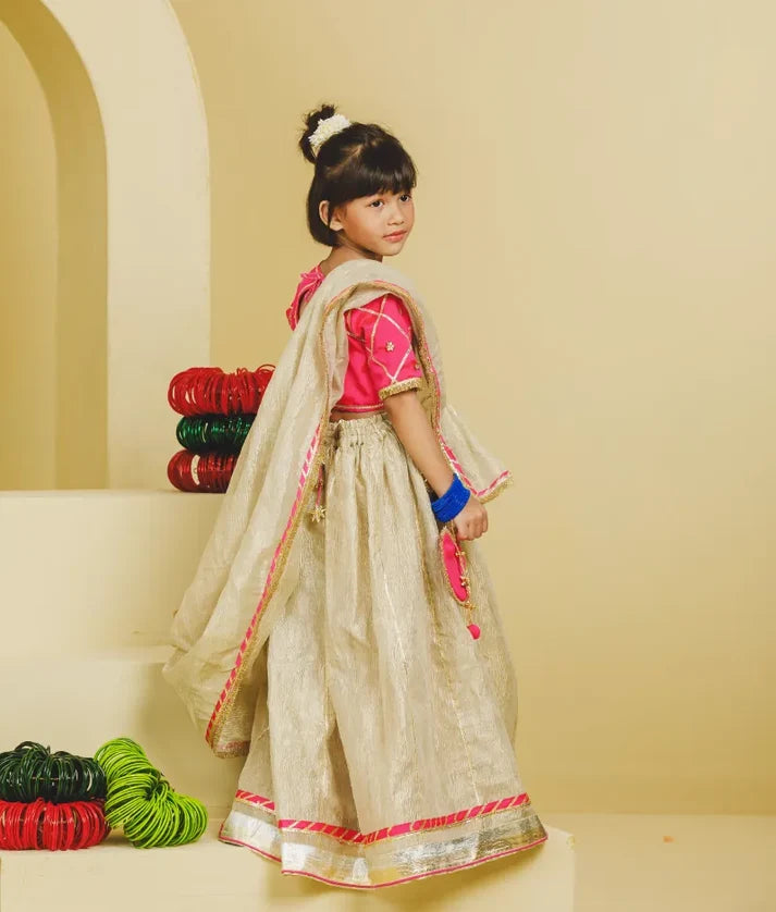 Pink Aangi Work Choli with Lehenga Set