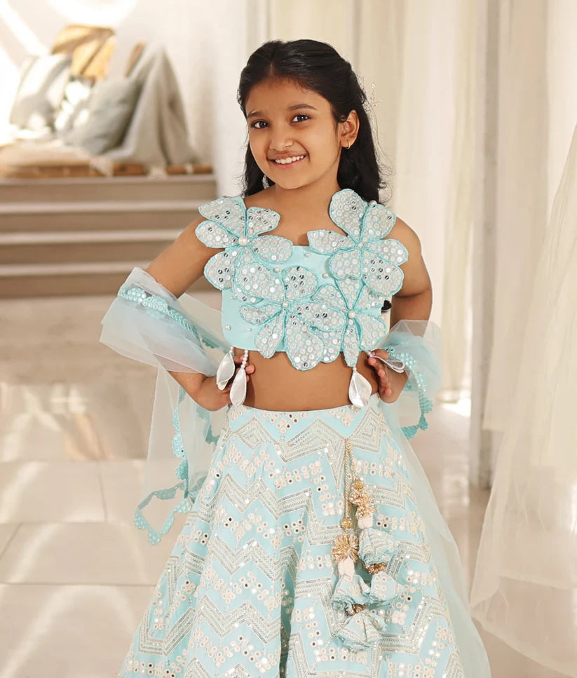 MIRROR EMBROIDERED LEHENGA CHOLI SET