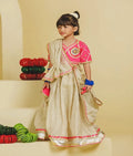 Pink Aangi Work Choli with Lehenga Set
