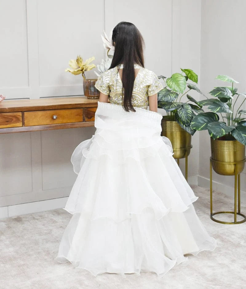 Golden Net Off-White Organza Embroidery Lehenga Set