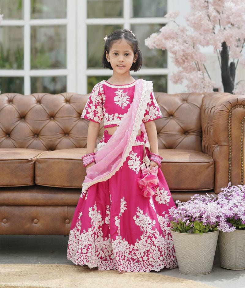 Pink Lehenga Choli Set