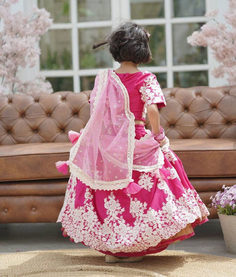 Pink Lehenga Choli Set