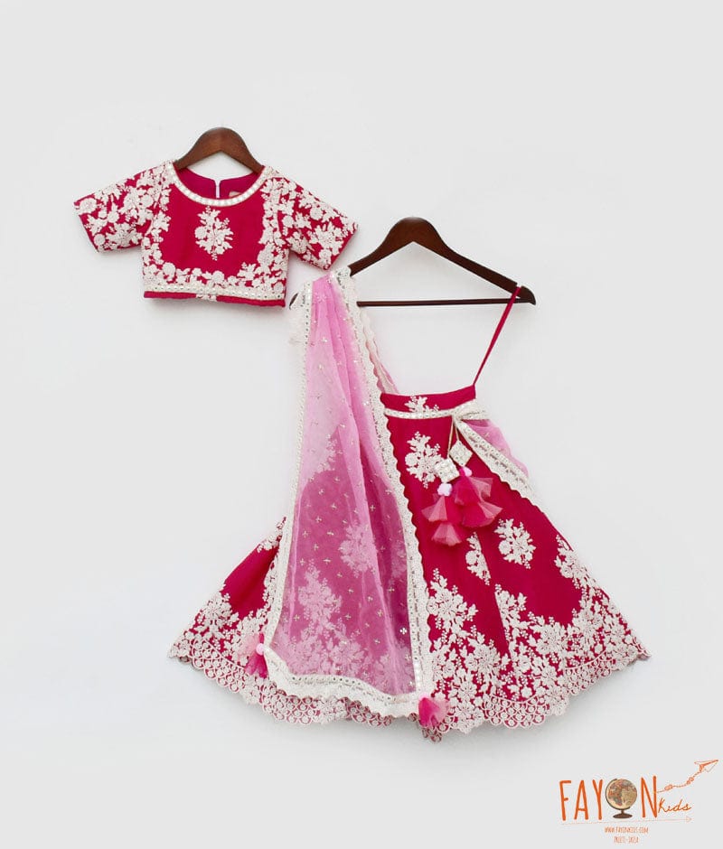 Pink Lehenga Choli Set