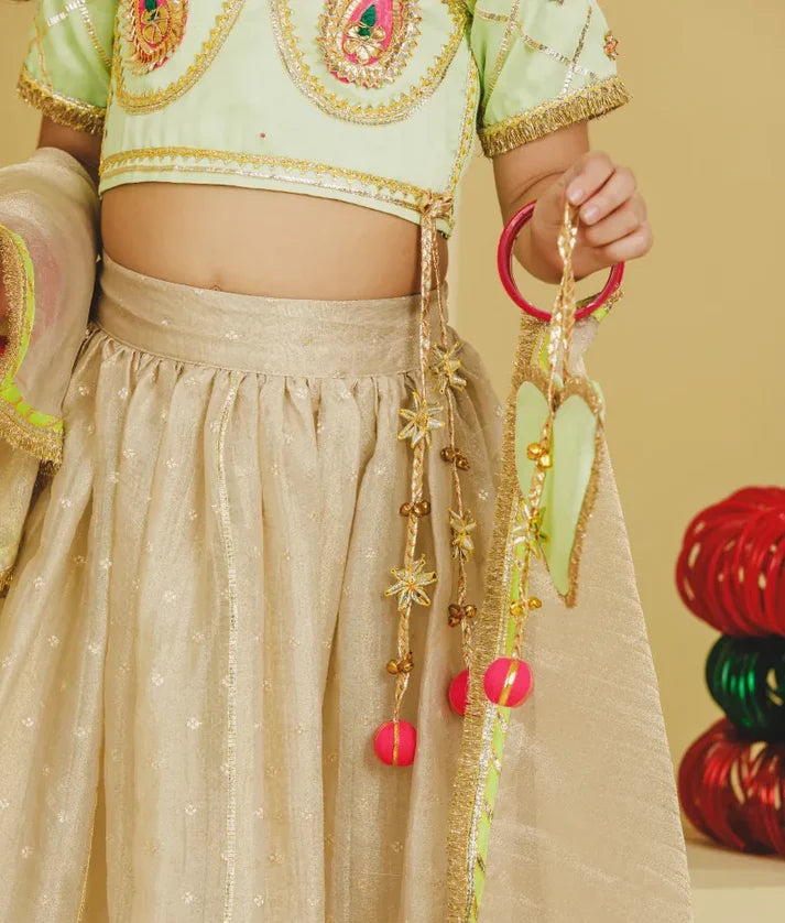 Aangi Green Work Choli with Lehenga Set