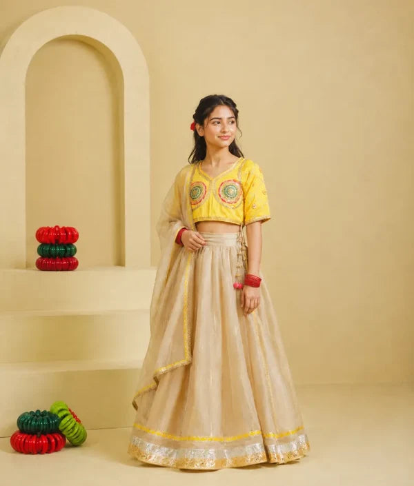 Aangi Yellow Work Choli with Lehenga Set