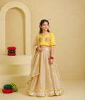 Aangi Yellow Work Choli with Lehenga Set