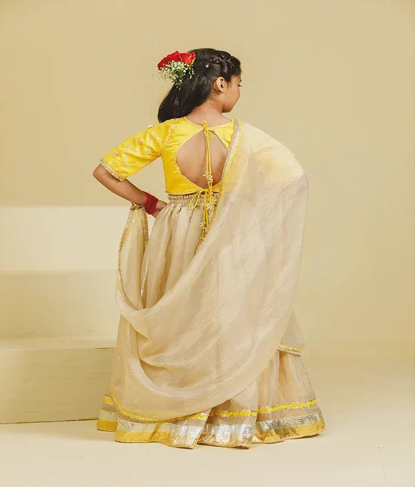 Aangi Yellow Work Choli with Lehenga Set